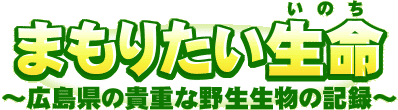 �|�p�ՎQ����i�u�܂��肽�������`�L�����̋M�d�Ȗ쐶�����̋L�^�`�v